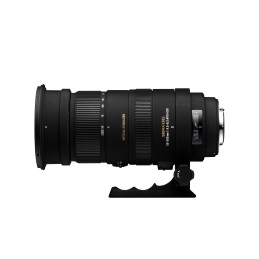 Sigma 50-500mm F4.5-6.3 APO DG OS HSM - Canon Sigma 50-500mm F4.5-6.3 APO DG OS HSM - Canon